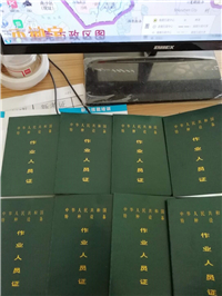 东莞叉车培训大朗学校